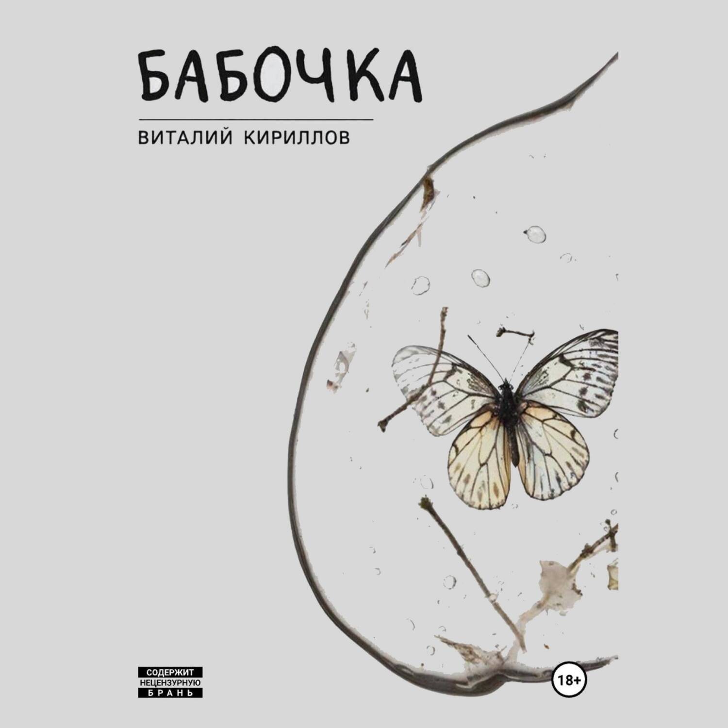 Обложка книги «Бабочка»