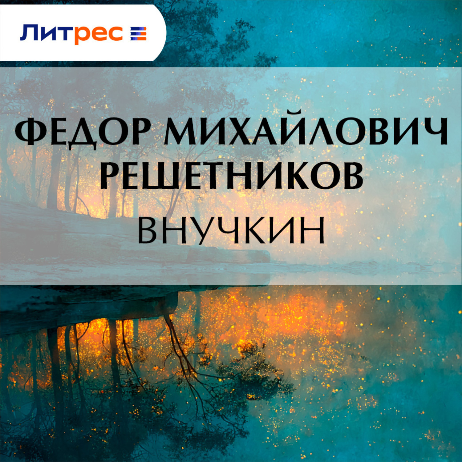 Обложка книги «Внучкин»
