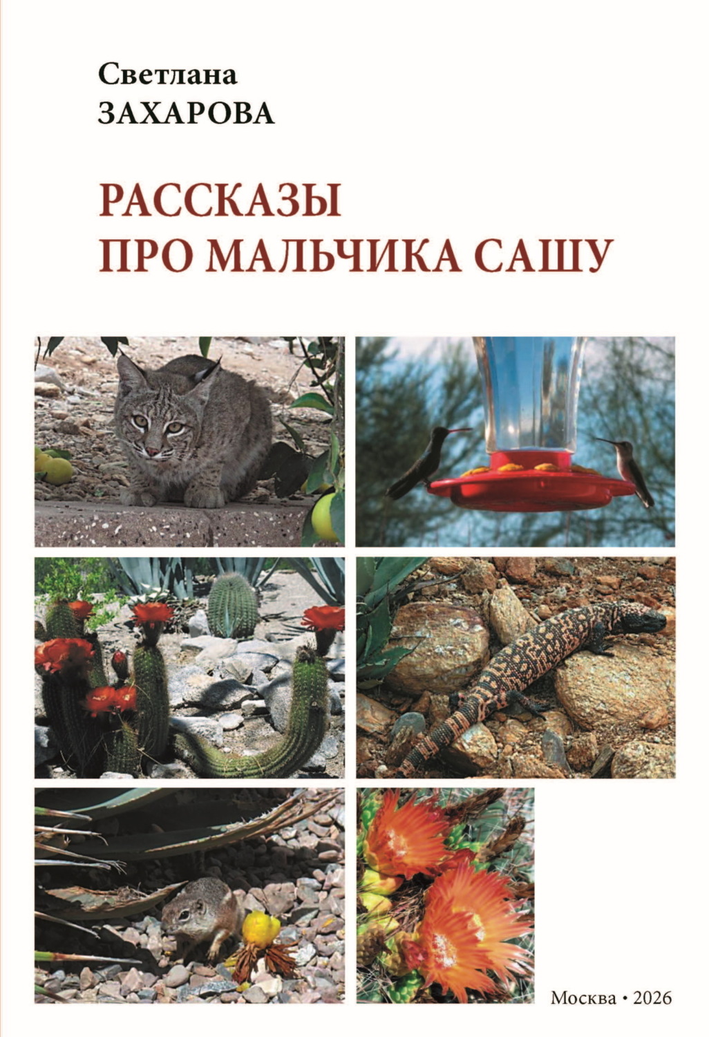 Обложка книги «Рассказы про мальчика Сашу»