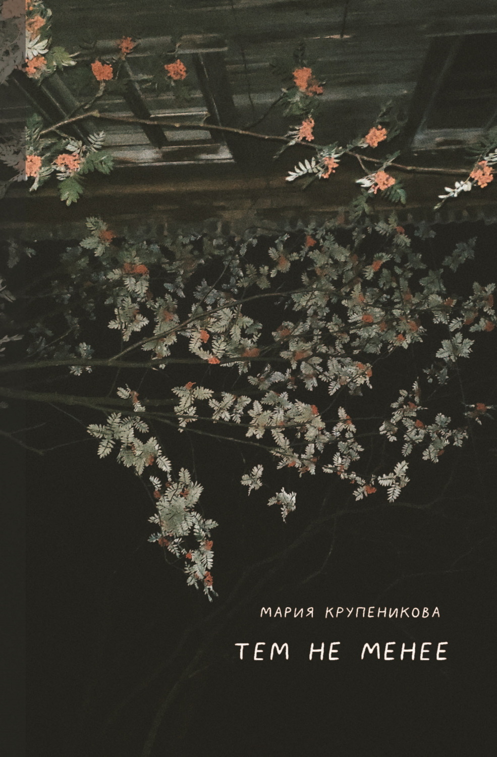 Обложка книги «Тем не менее»