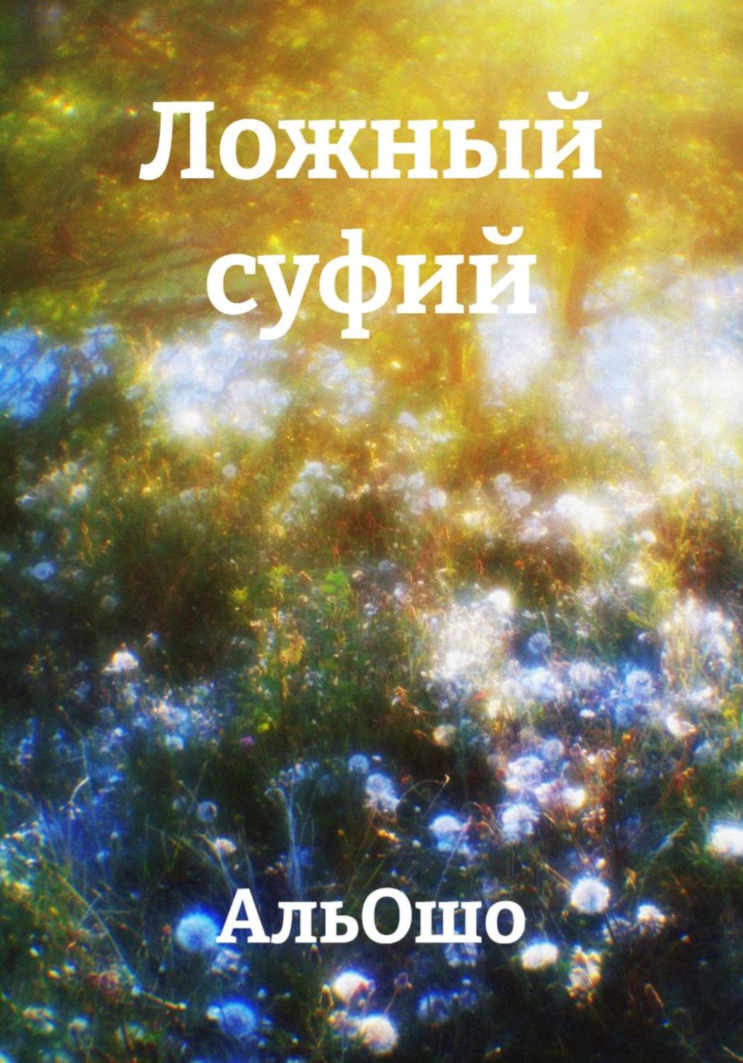 Обложка книги «Ложный суфий»
