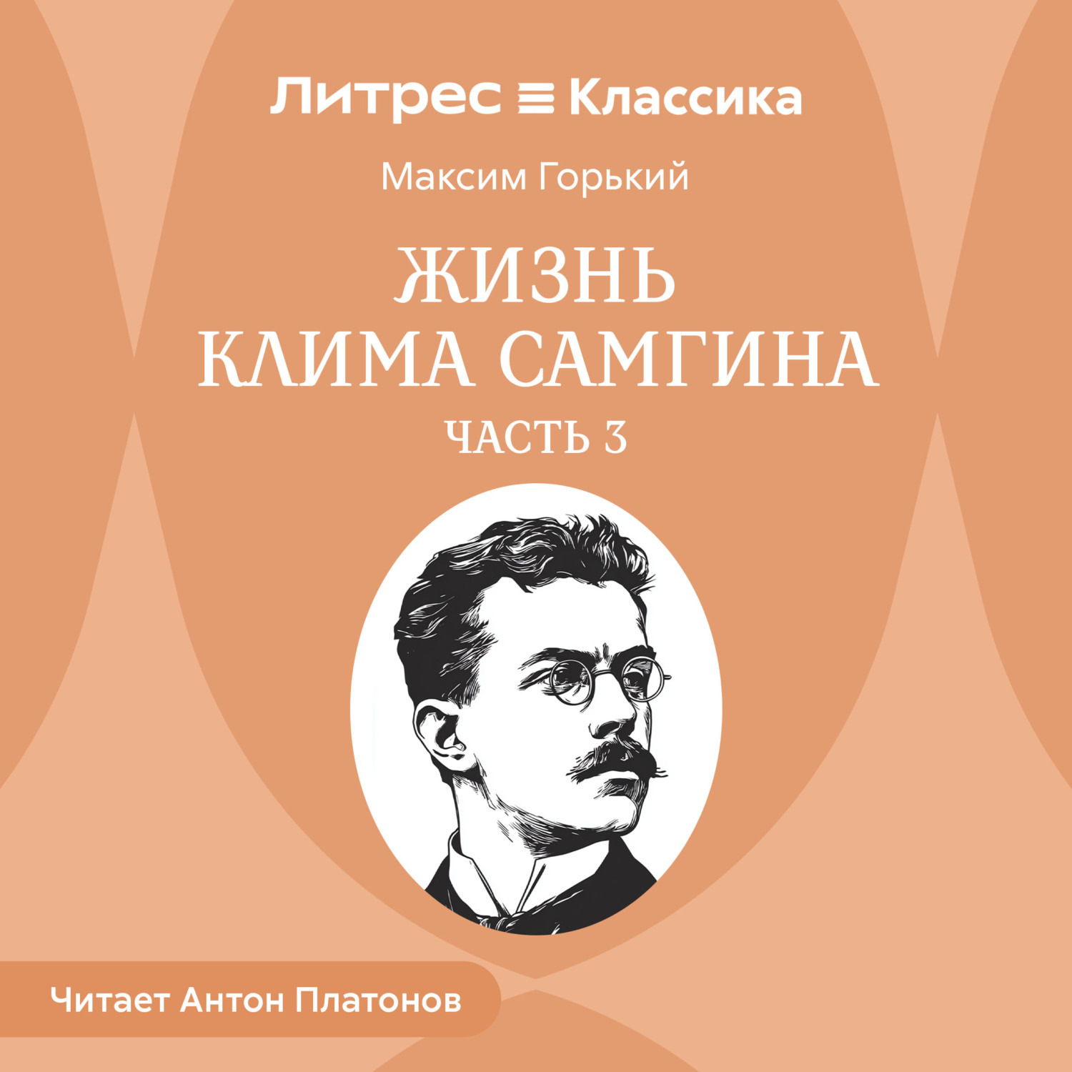 Обложка книги «Жизнь Клима Самгина. Часть 3»