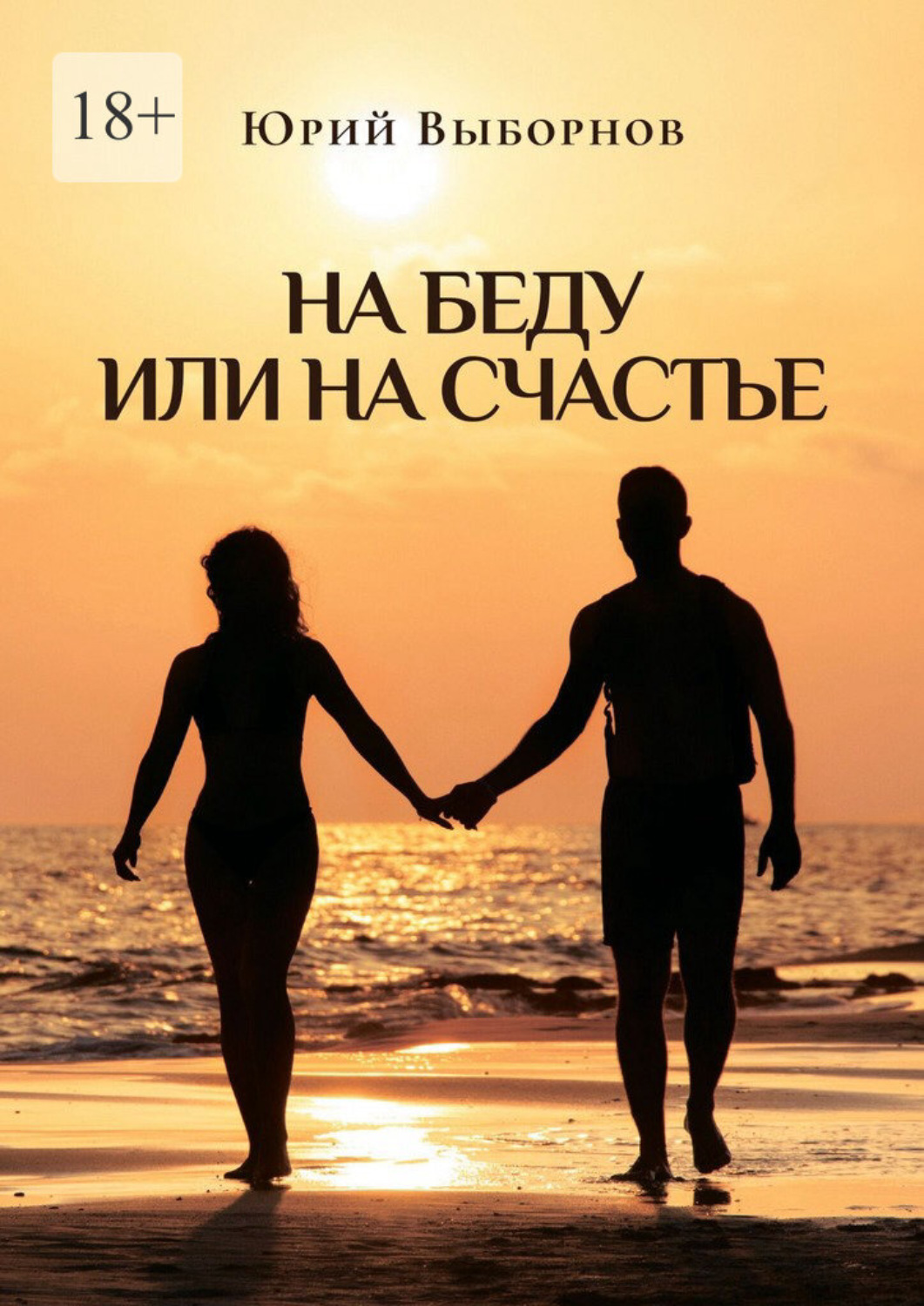 Обложка книги «На беду или на счастье»