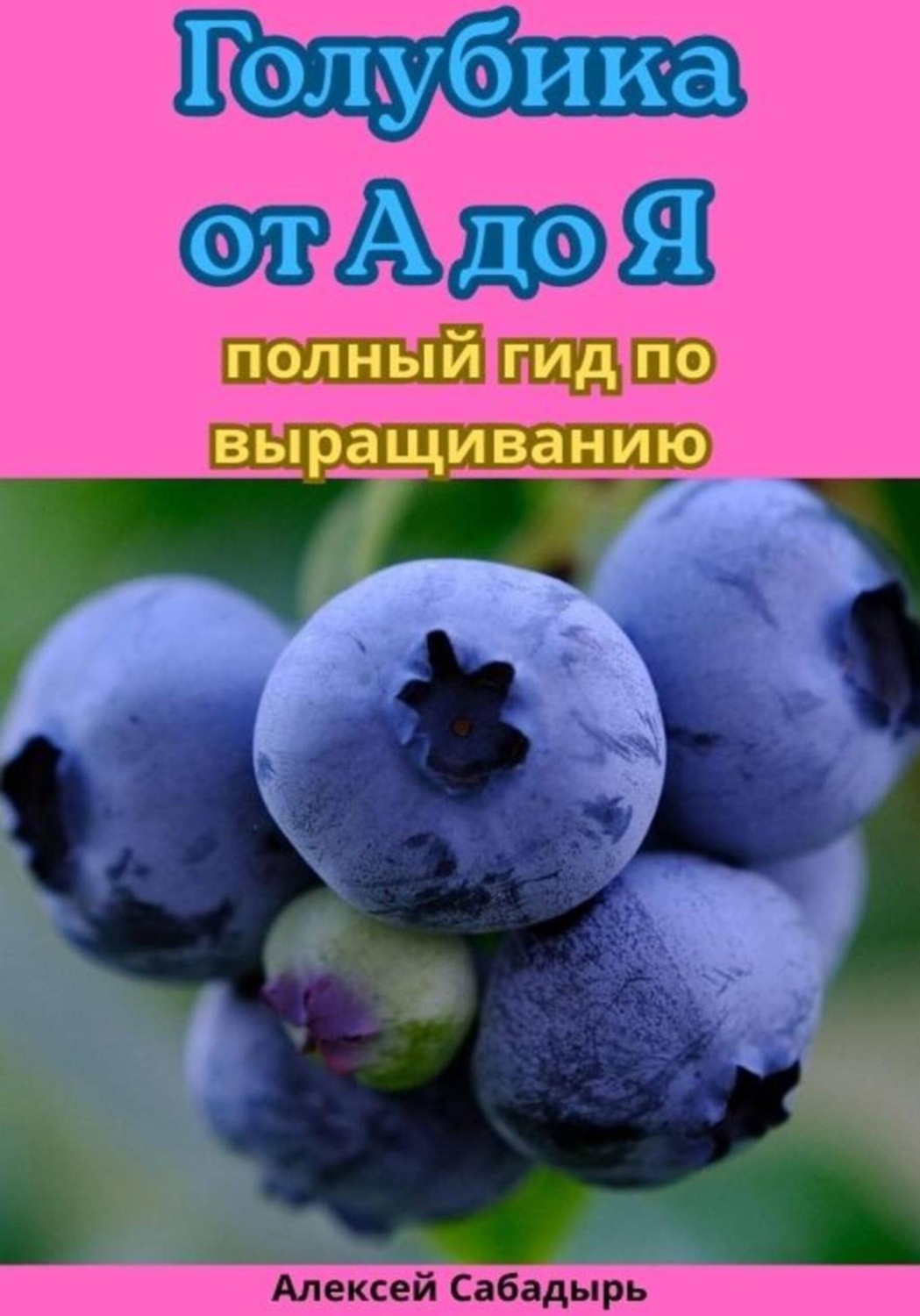 Обложка книги «Голубика от А до Я полный гид по выращиванию»