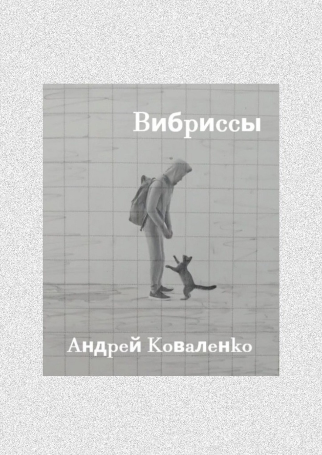 Обложка книги «Вибриссы»