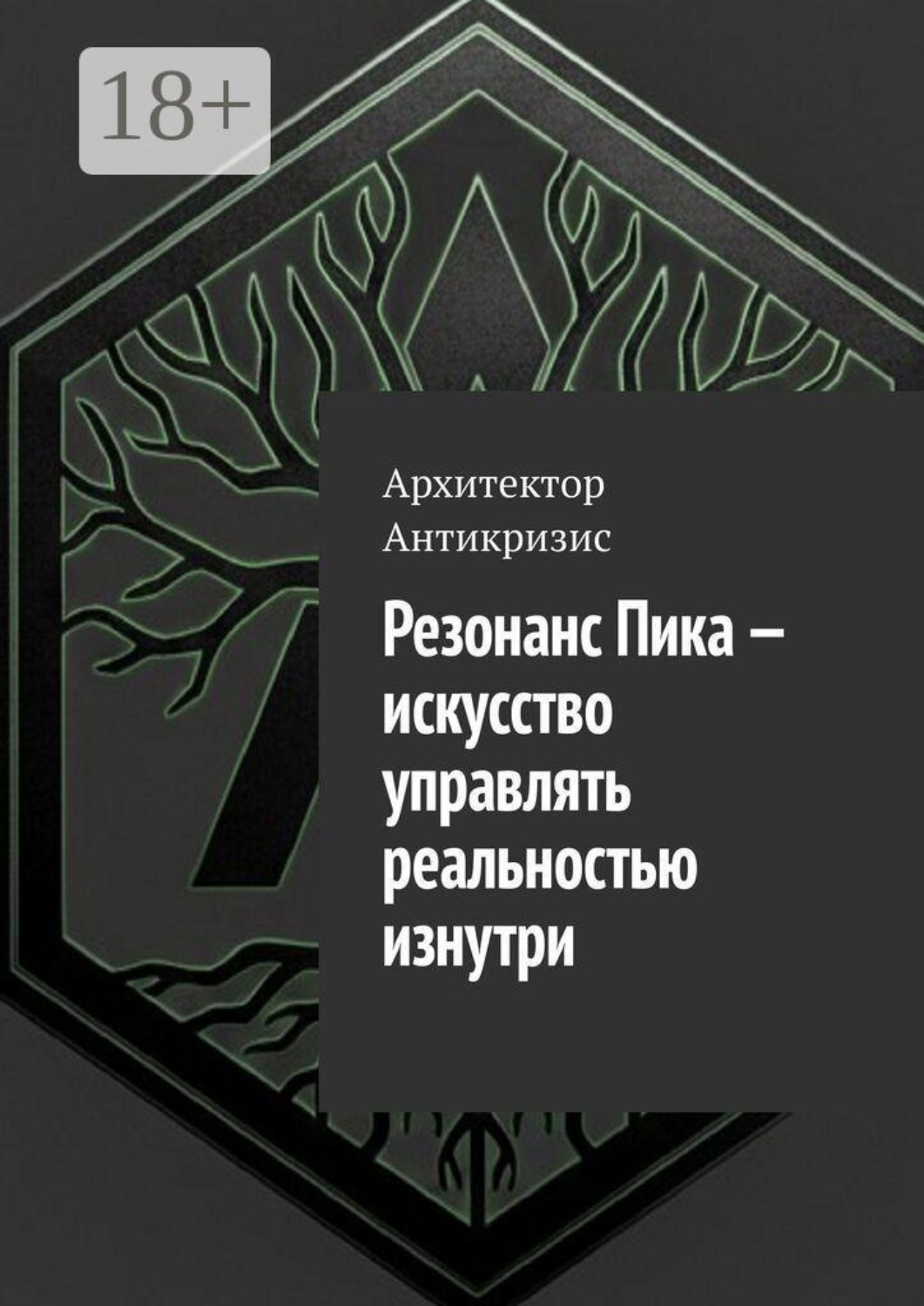 Обложка книги «Резонанс Пика — искусство управлять реальностью изнутри»