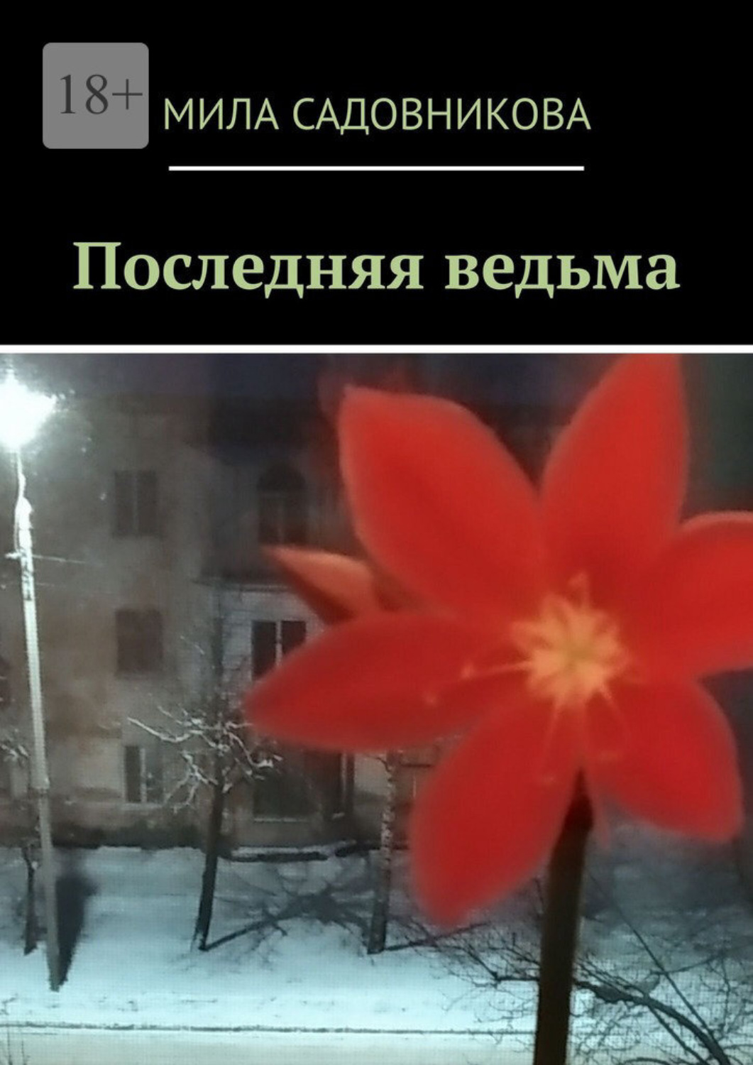 Обложка книги «Последняя ведьма»