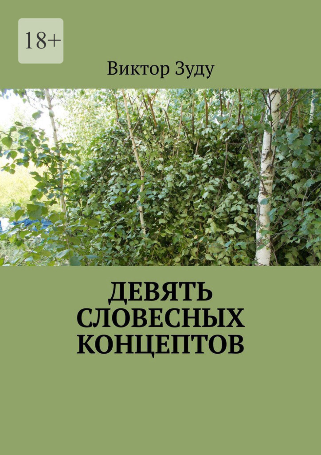 Обложка книги «Девять словесных концептов»