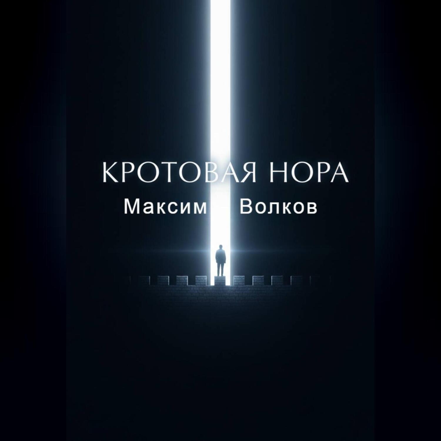 Обложка книги «Кротовая нора»