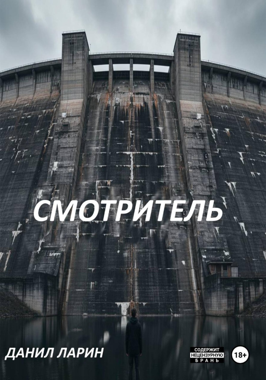 Обложка книги «Смотритель»