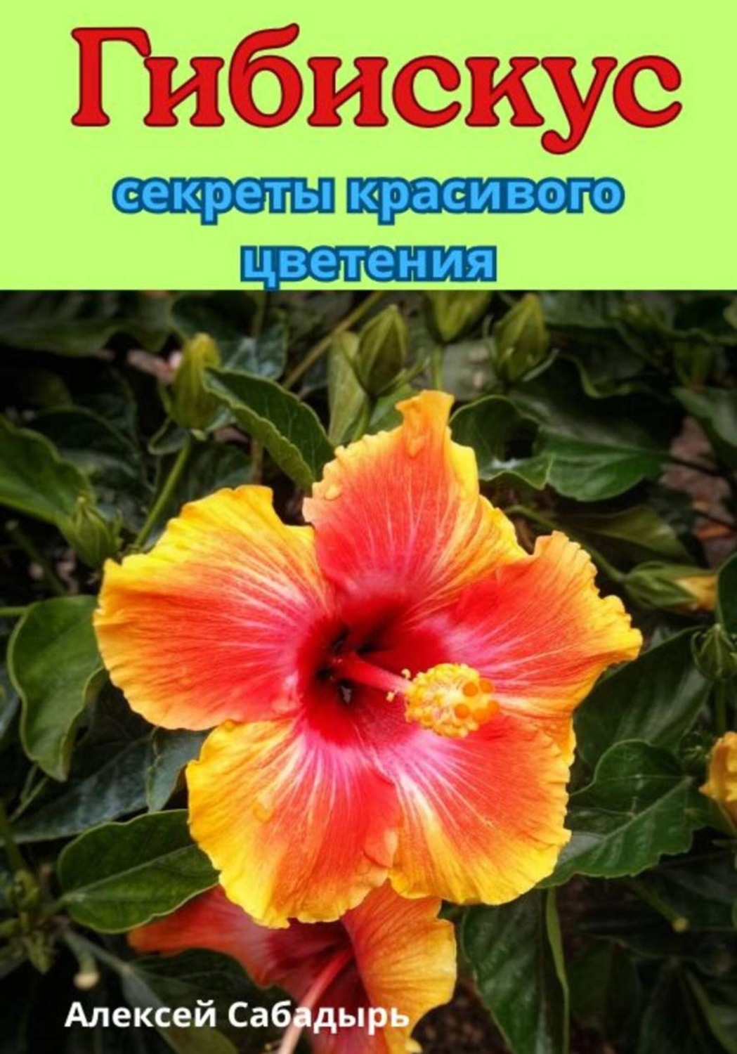Обложка книги «Гибискус секреты красивого цветения»