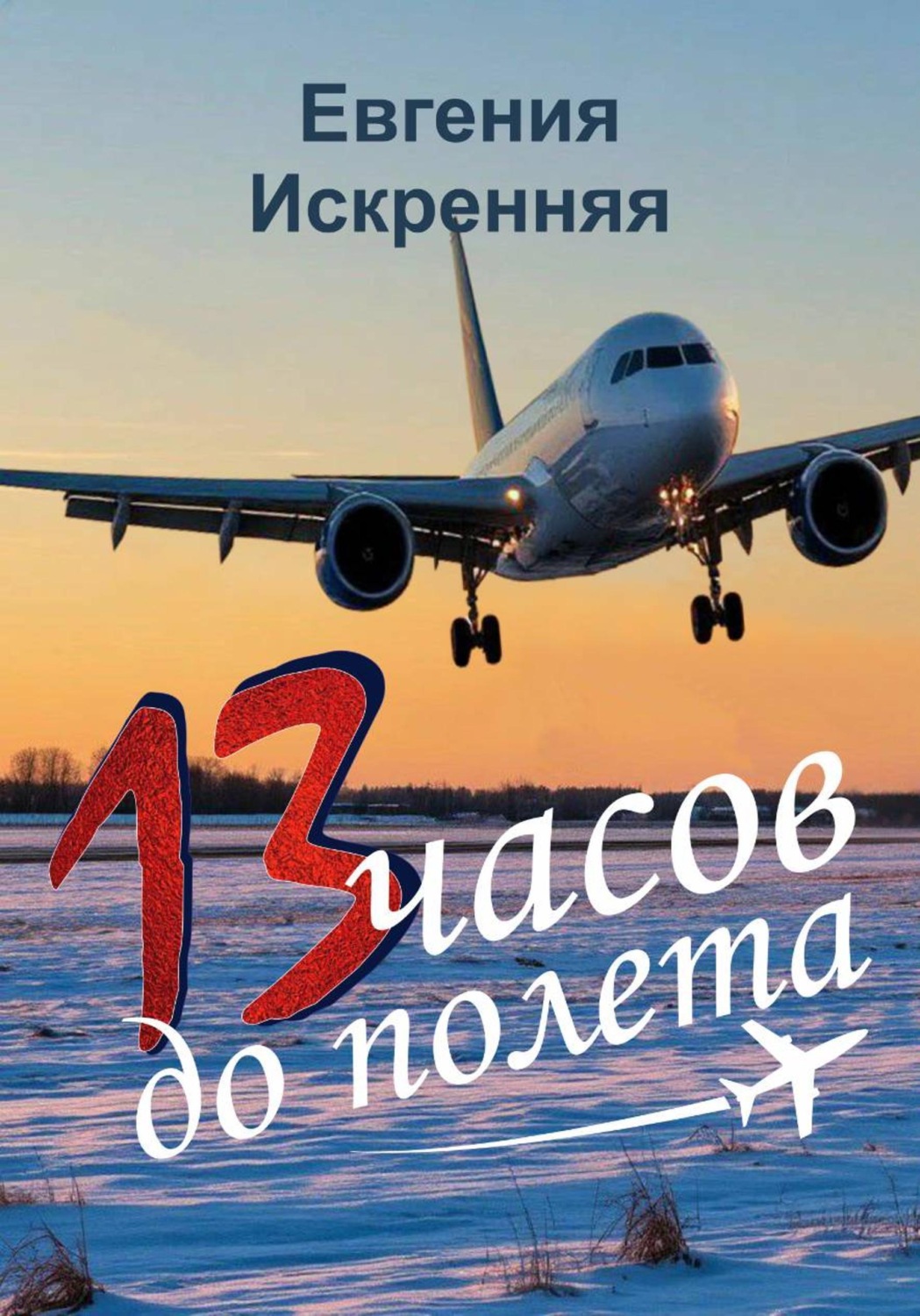Обложка книги «13 часов до полета»