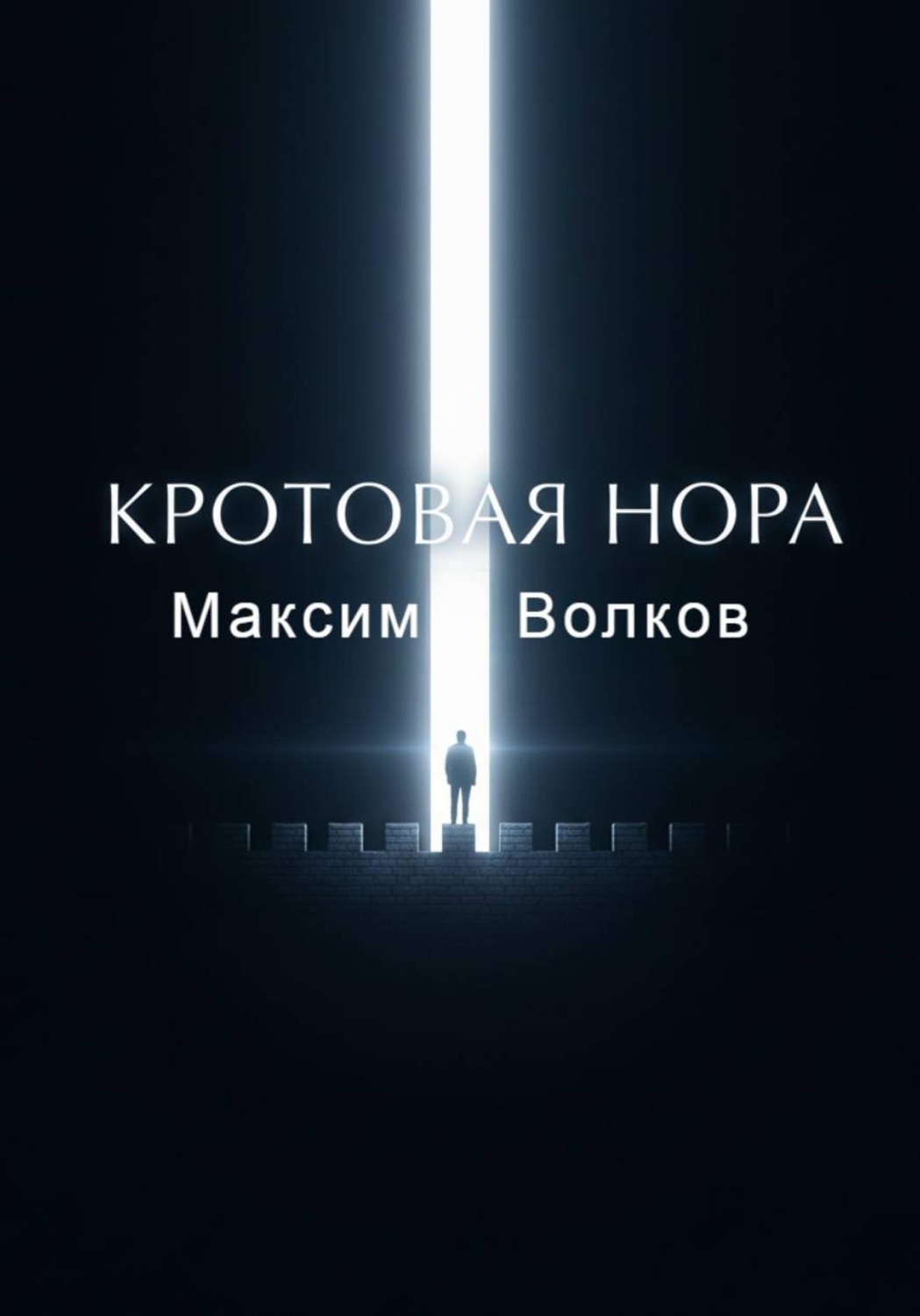 Обложка книги «Кротовая нора»