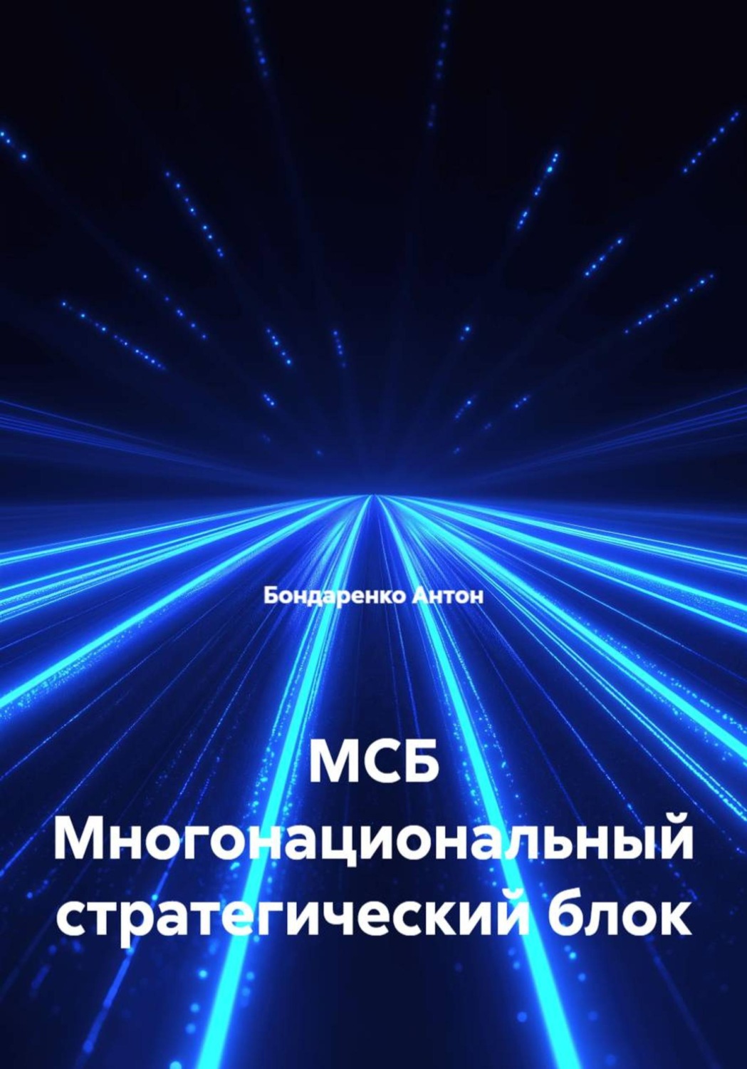 Обложка книги «МСБ Многонациональный стратегический блок»