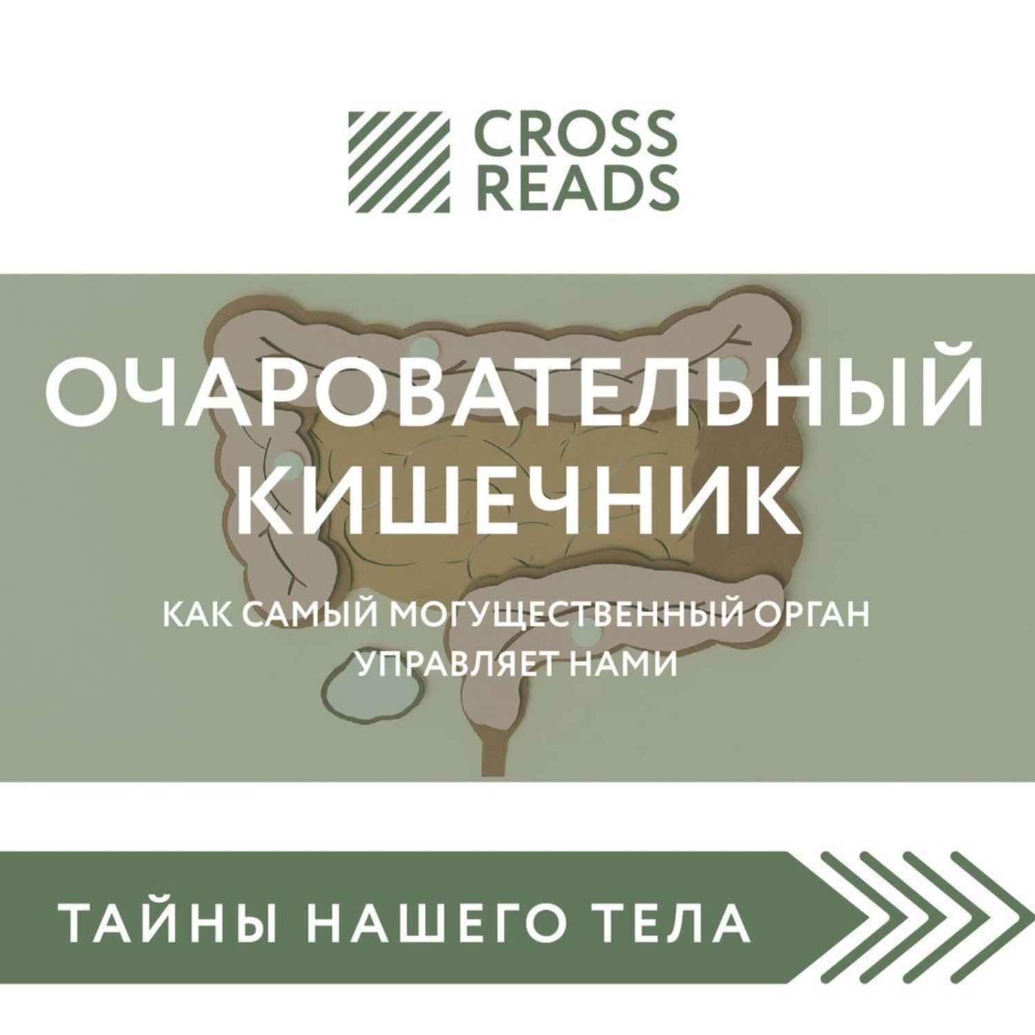 Обложка книги «Саммари книги «Очаровательный кишечник. Как самый могущественный орган управляет нами»»