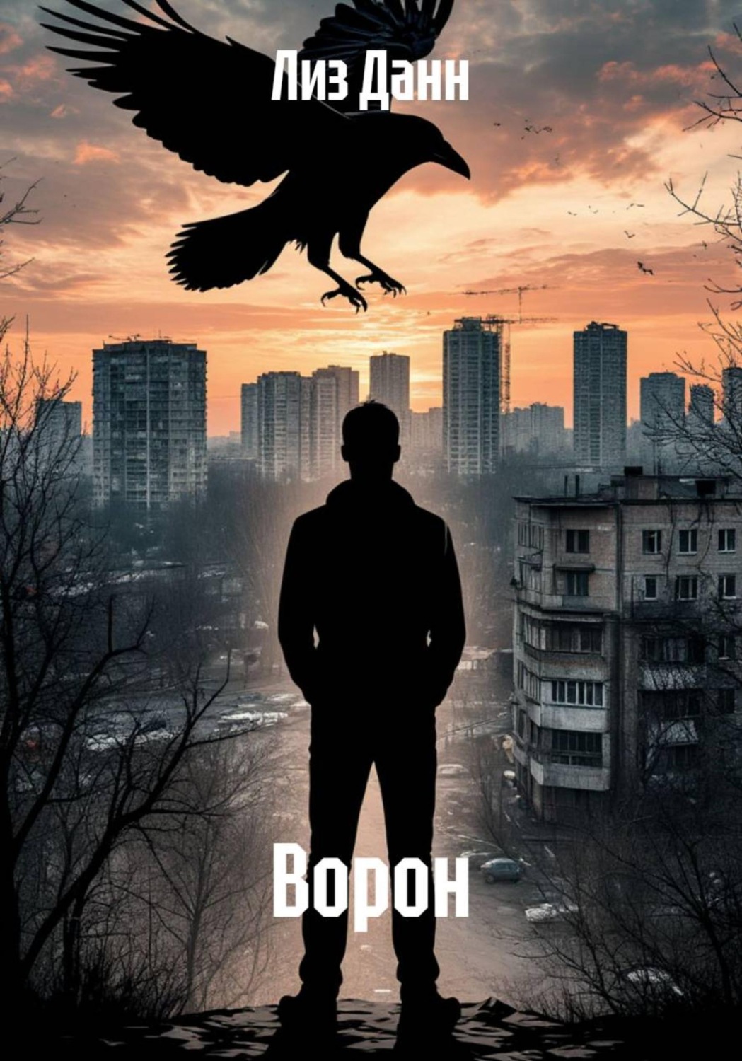Обложка книги «Ворон»