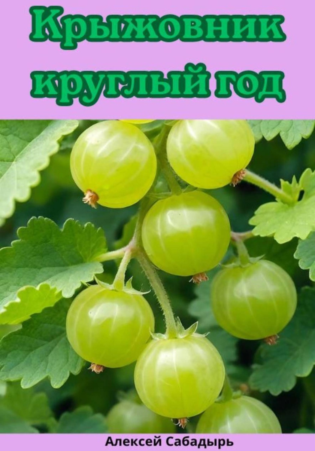 Обложка книги «Крыжовник круглый год»