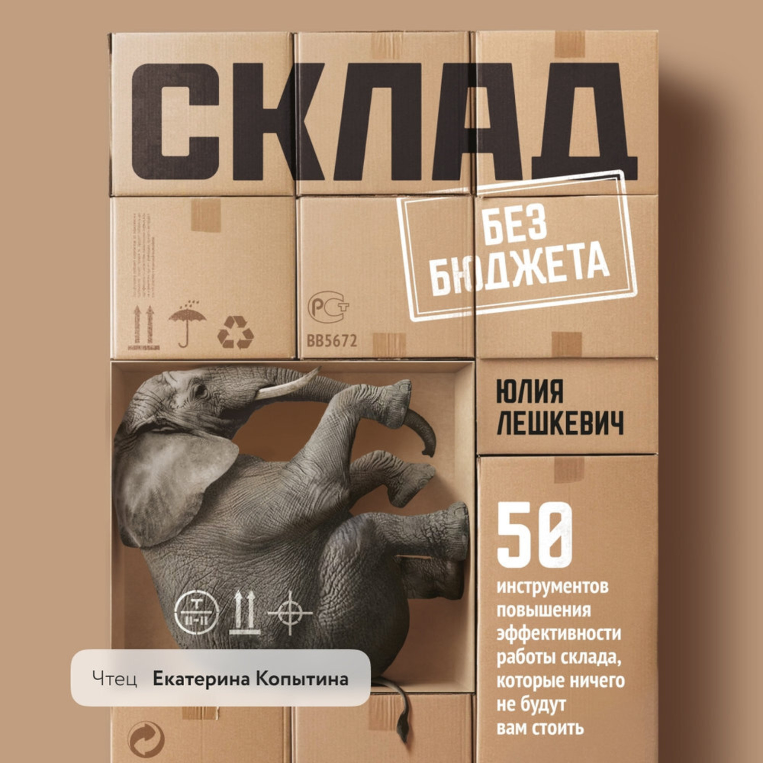 Обложка книги «Склад без бюджета»