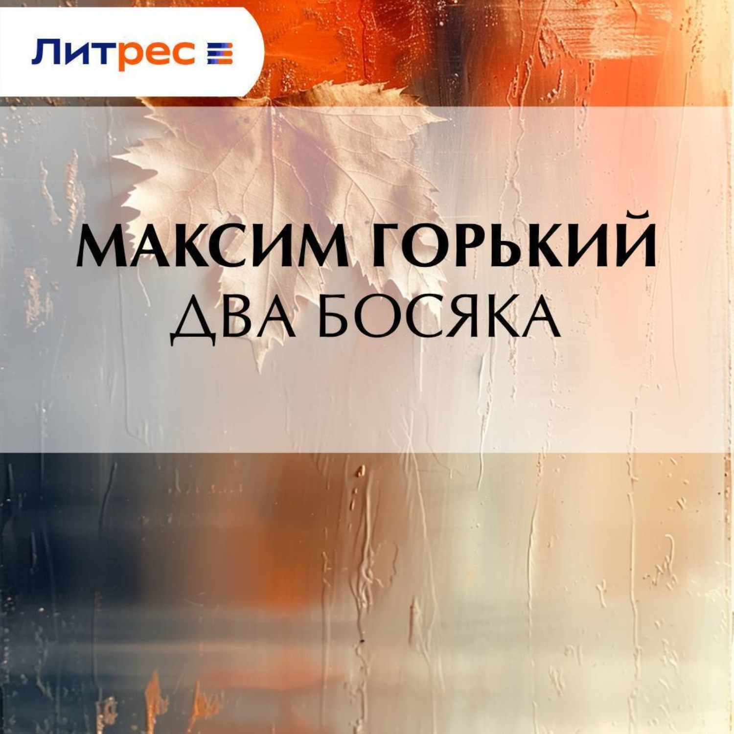 Обложка книги «Два босяка»