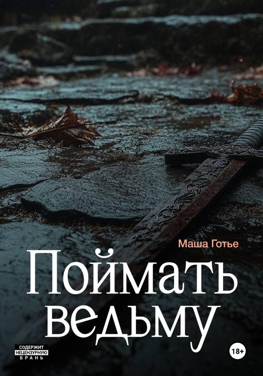 Обложка книги «Поймать ведьму»