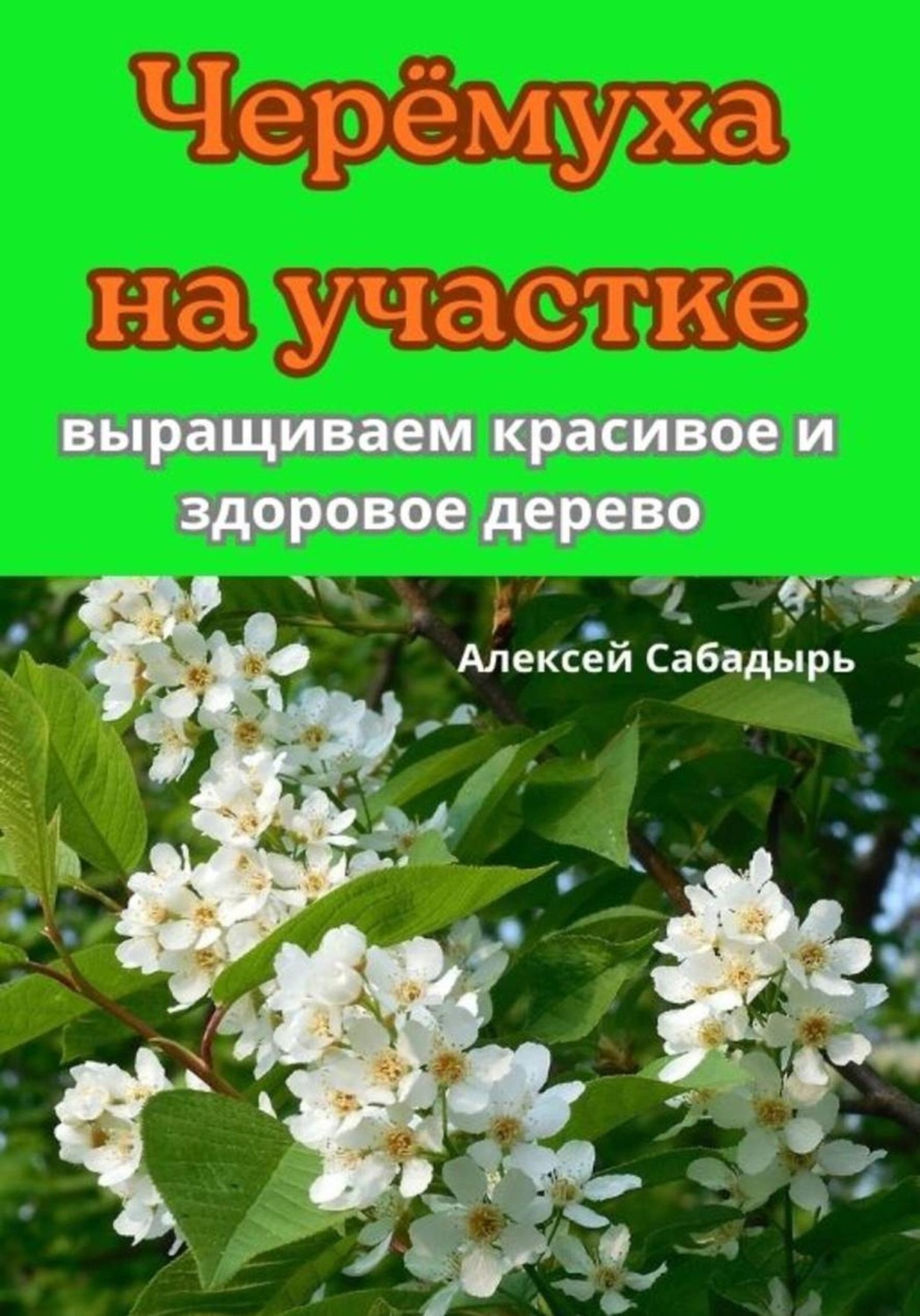Обложка книги «Черёмуха на участке выращиваем красивое и здоровое дерево»