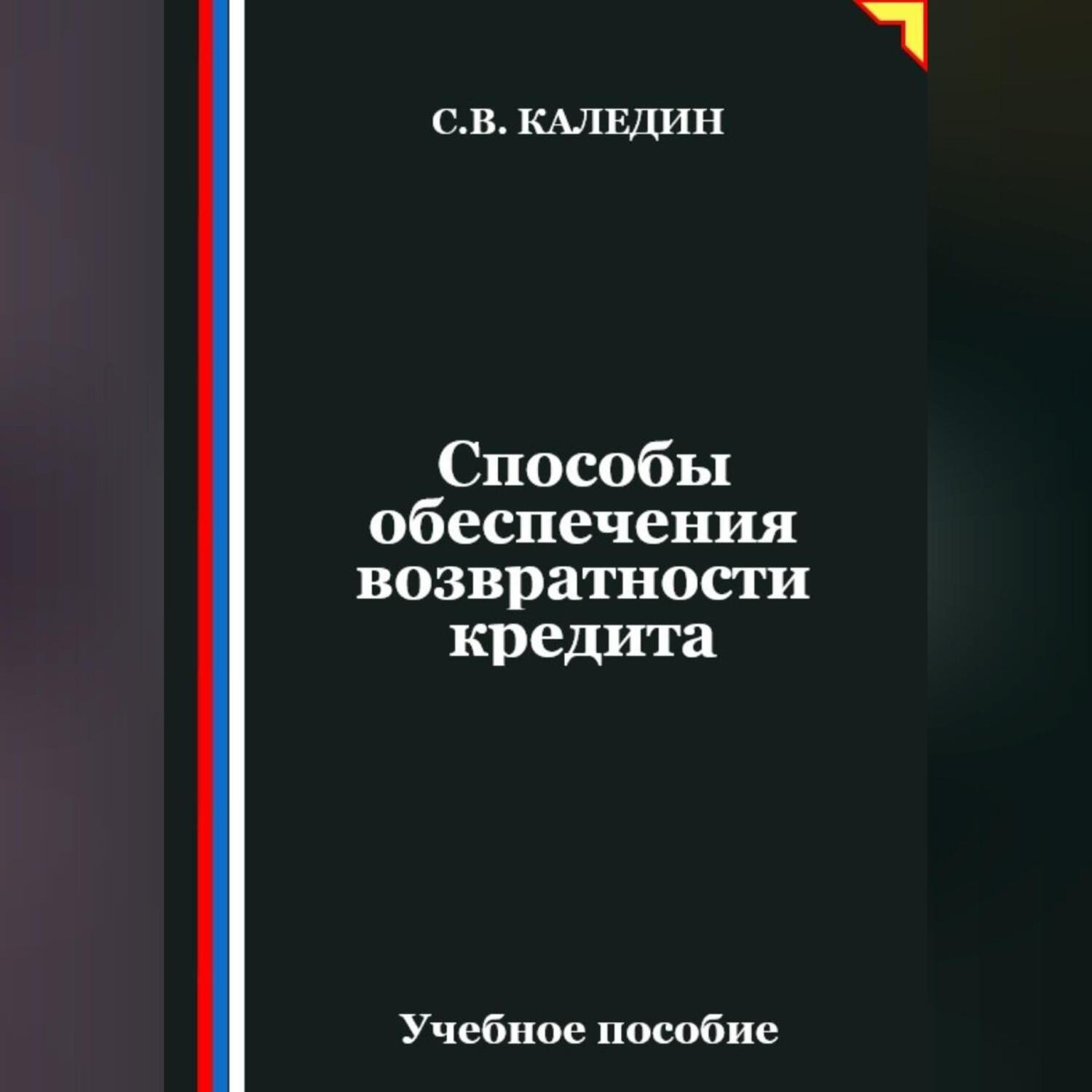 Обложка книги «Способы обеспечения возвратности кредита»