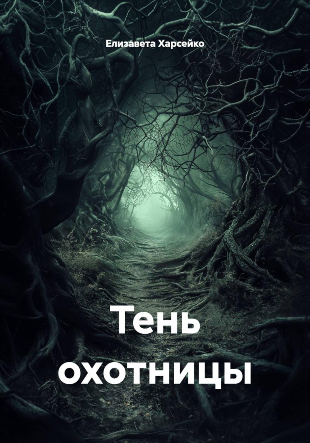 Обложка книги «Тень охотницы»