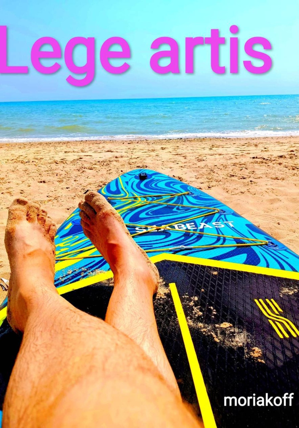 Обложка книги «Lege artiis»