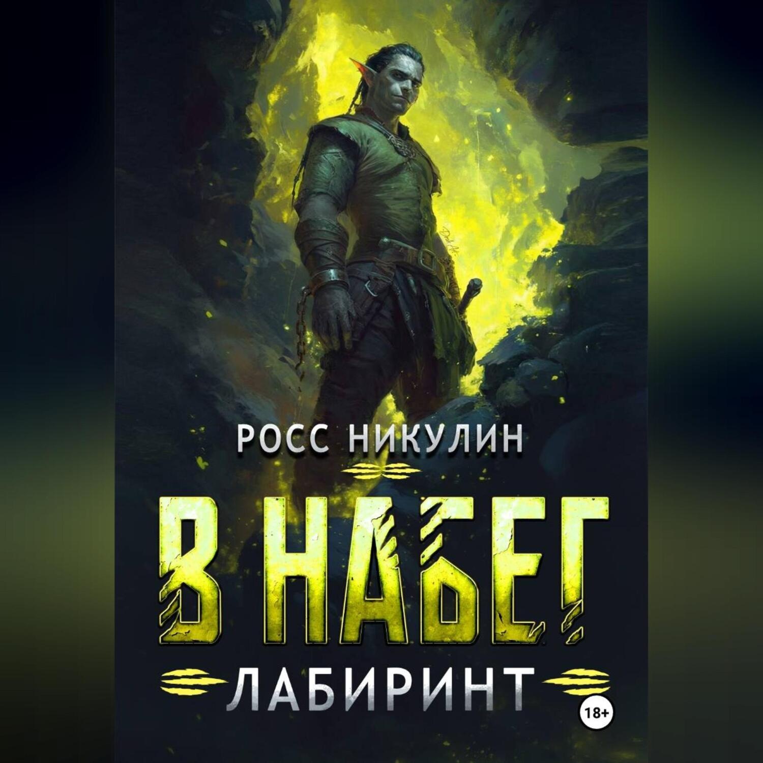 Обложка книги «В набег: Лабиринт»