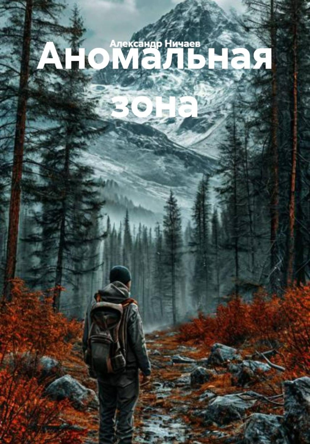 Обложка книги «Аномальная зона»