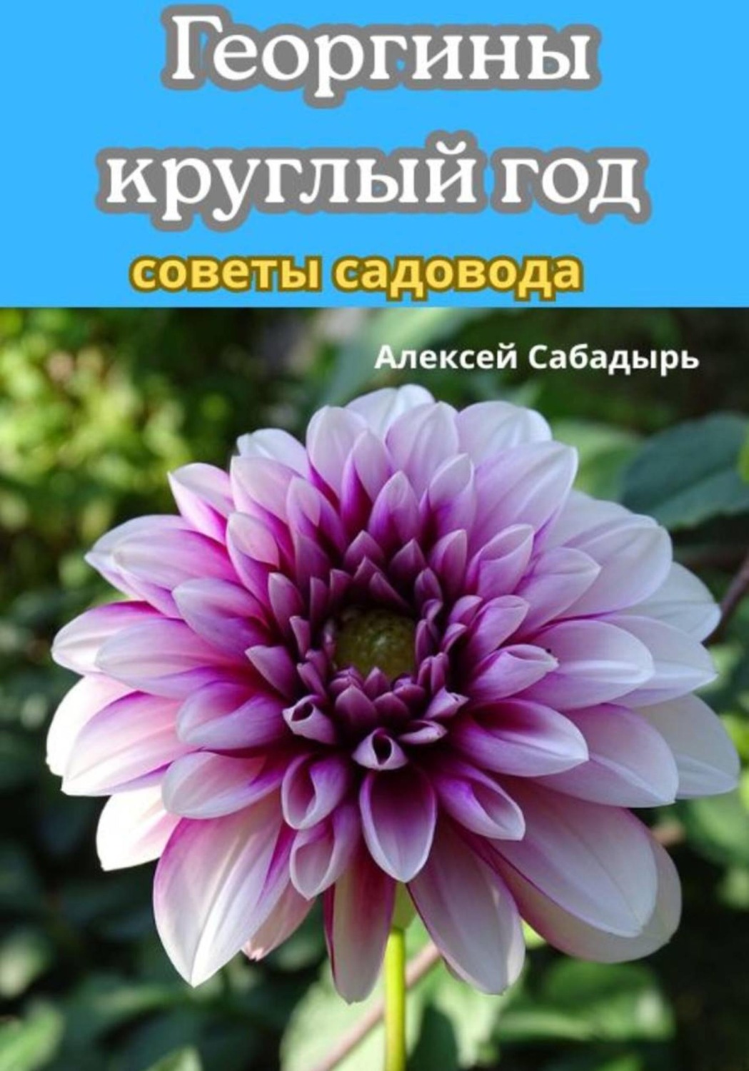 Обложка книги «Георгины круглый год советы садовода»