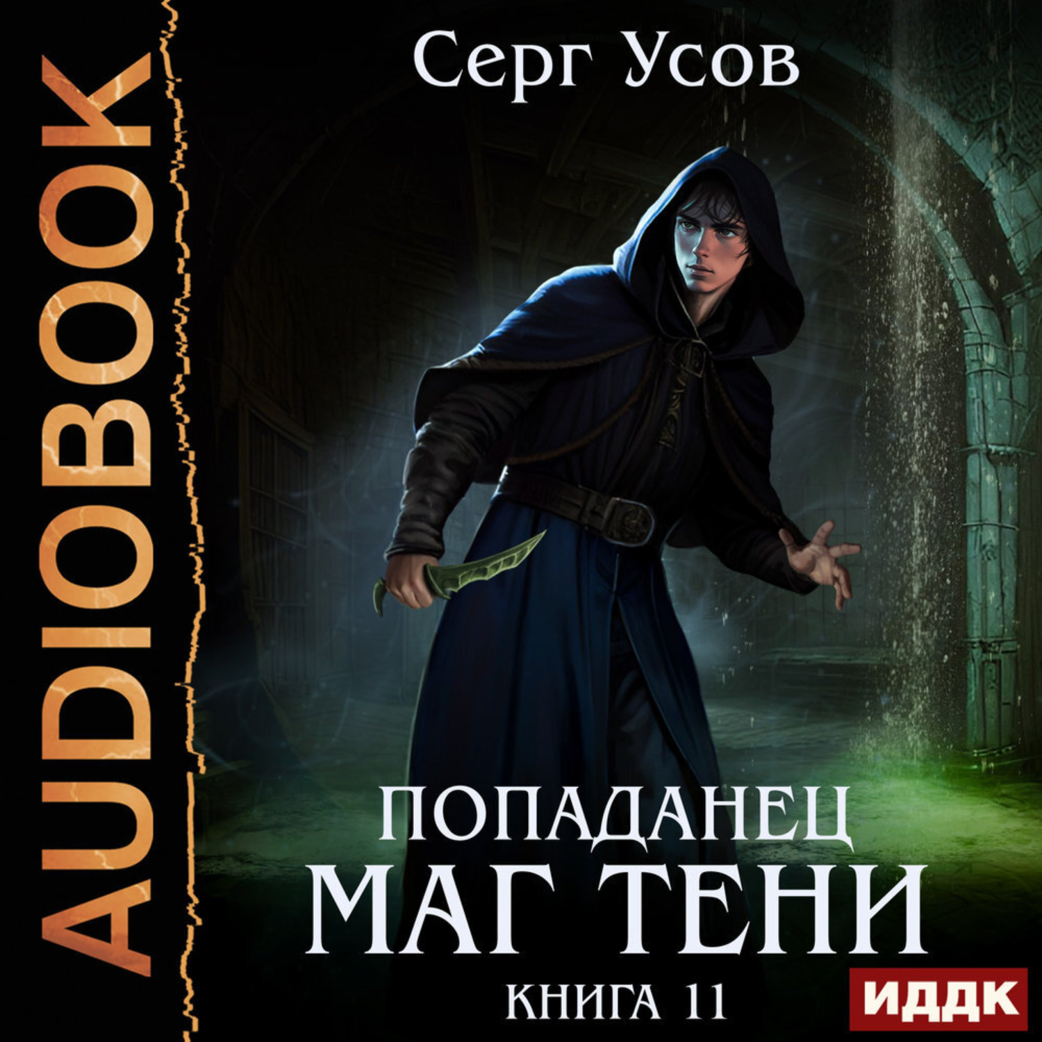 Обложка книги «Попаданец. Маг Тени. Книга 11»