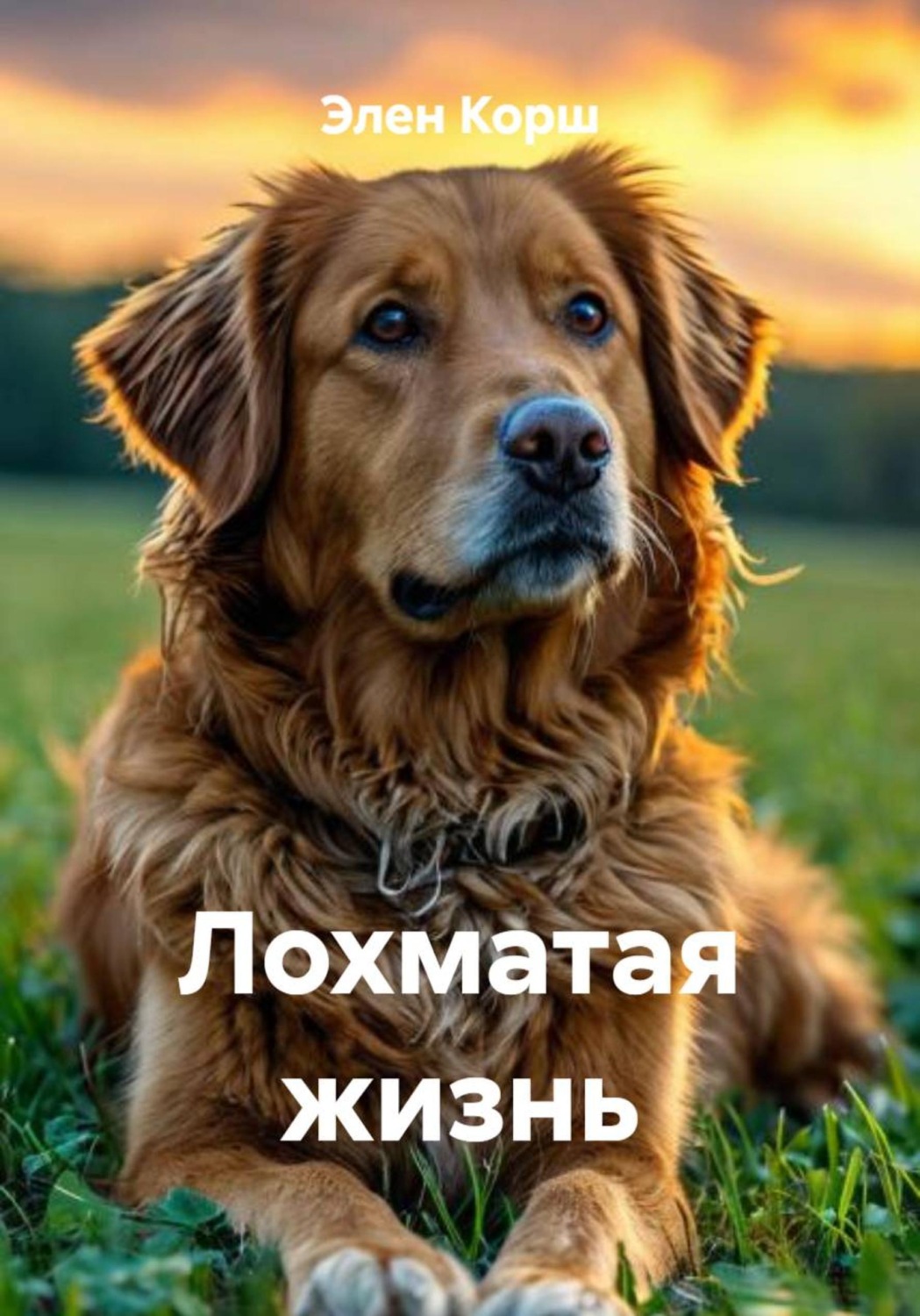 Обложка книги «Лохматая жизнь»