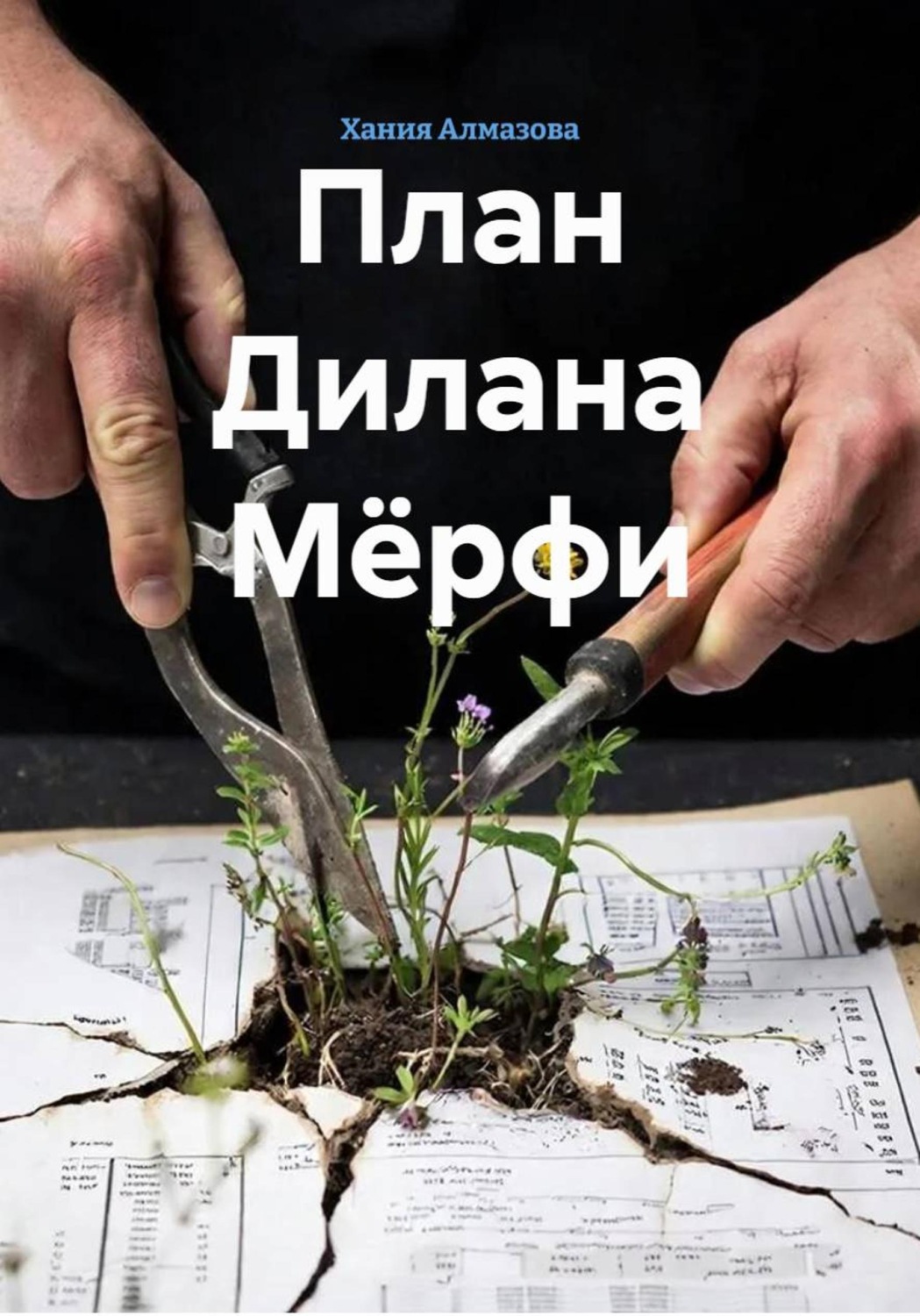 Обложка книги «План Дилана Мёрфи»