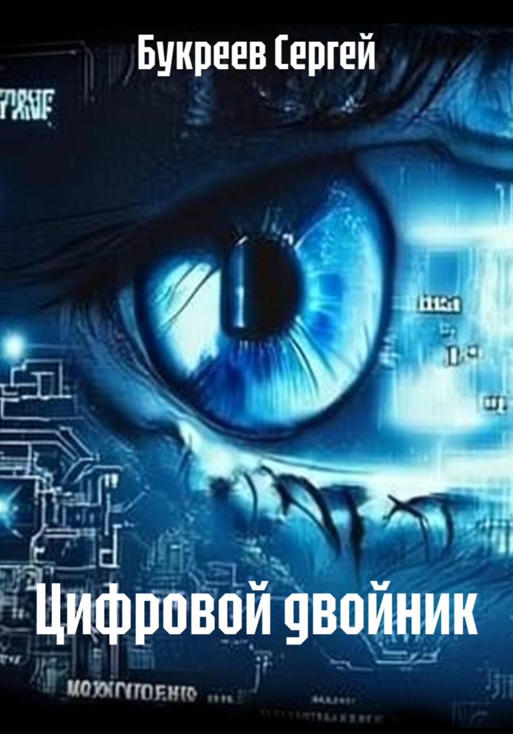 Обложка книги «Цифровой двойник»