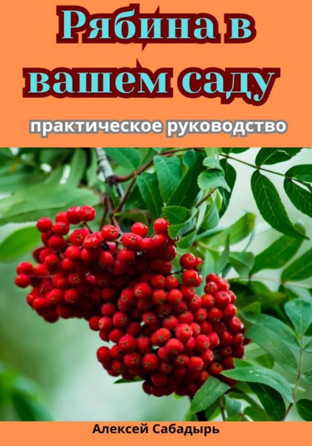 Обложка книги «Рябина в вашем саду: практическое руководство»