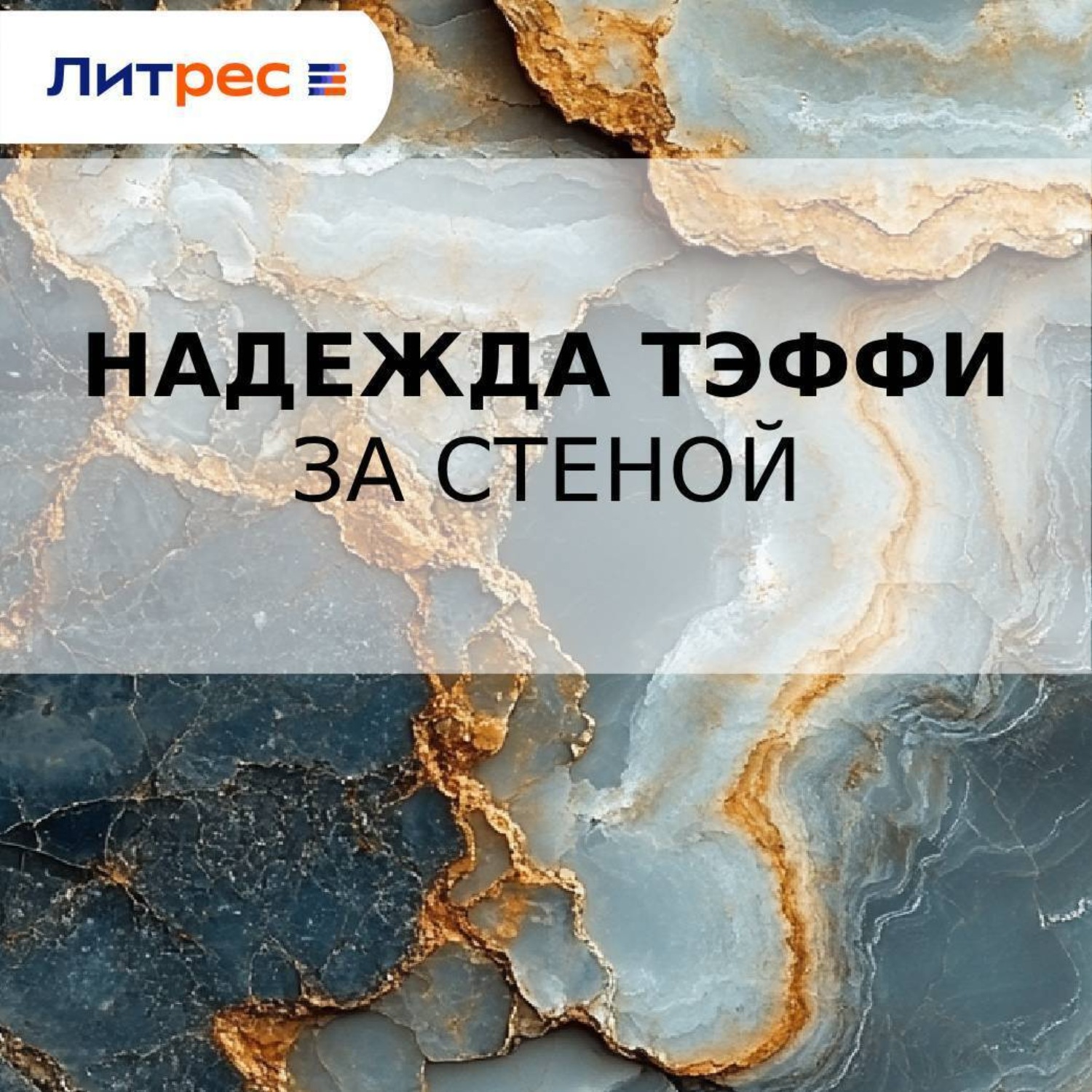 Обложка книги «За стеной»