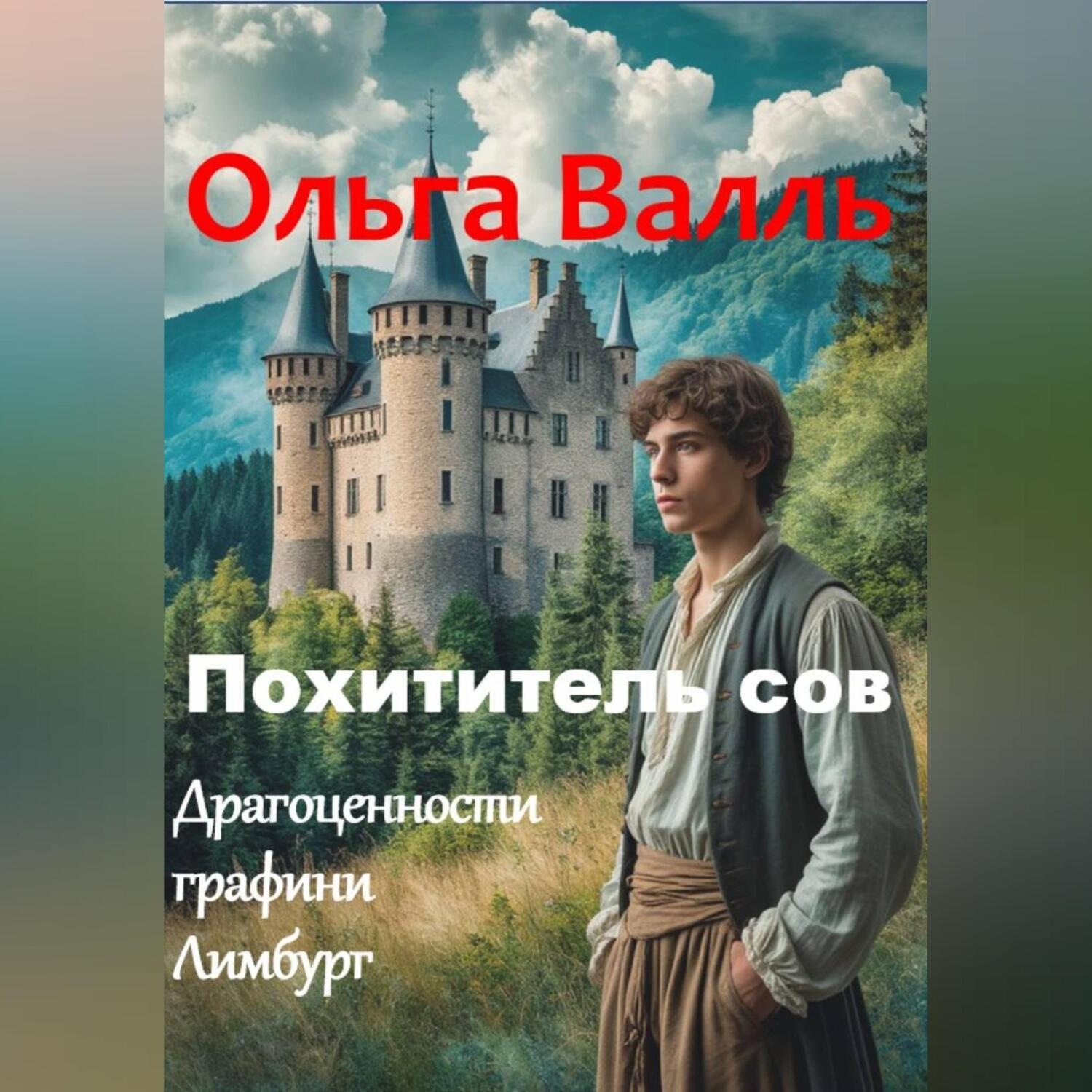 Обложка книги «Похититель сов»