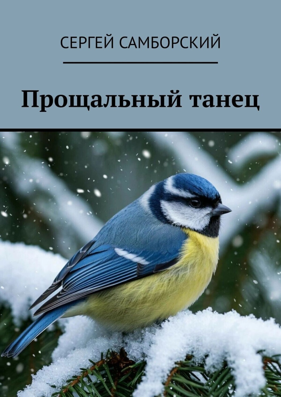 Обложка книги «Прощальный танец»