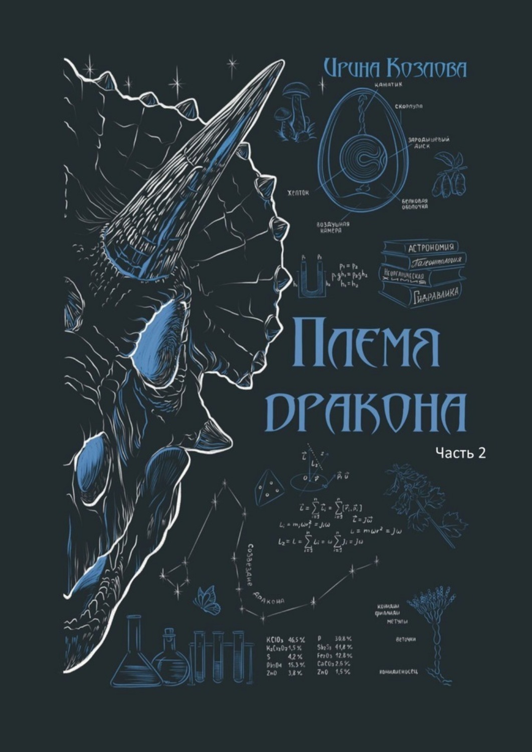 Обложка книги «Племя дракона»