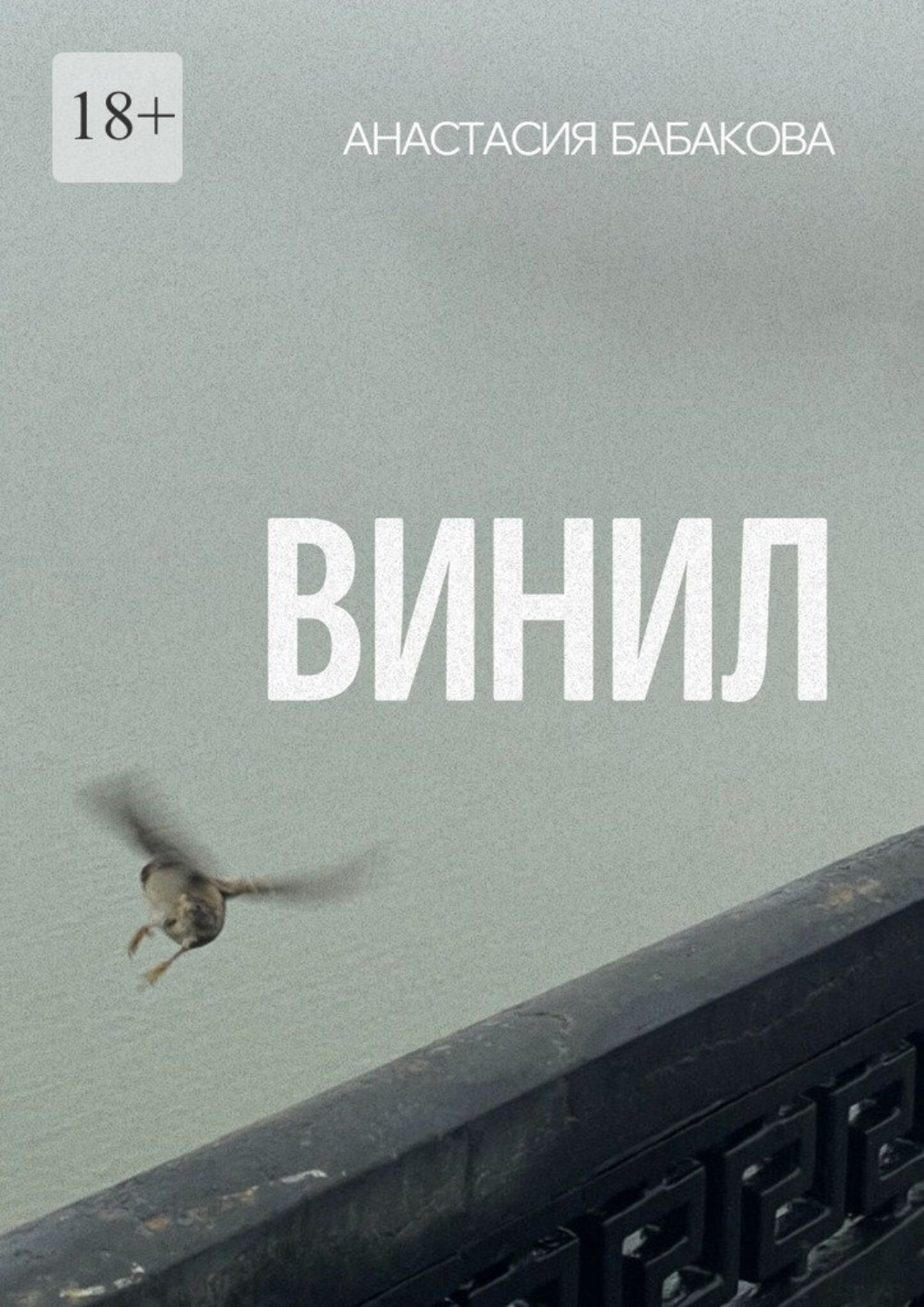 Обложка книги «Винил»