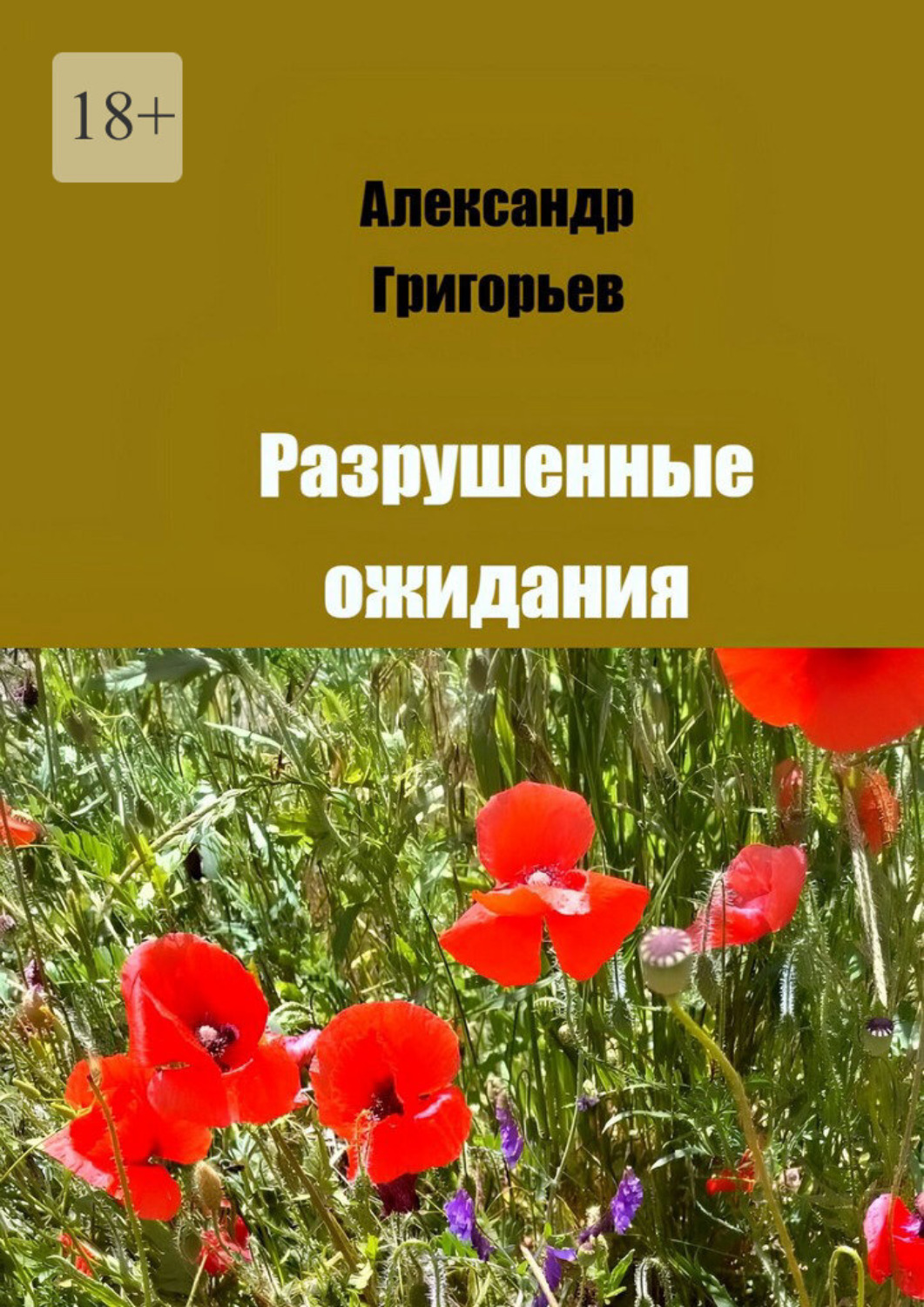 Обложка книги «Разрушенные ожидания»