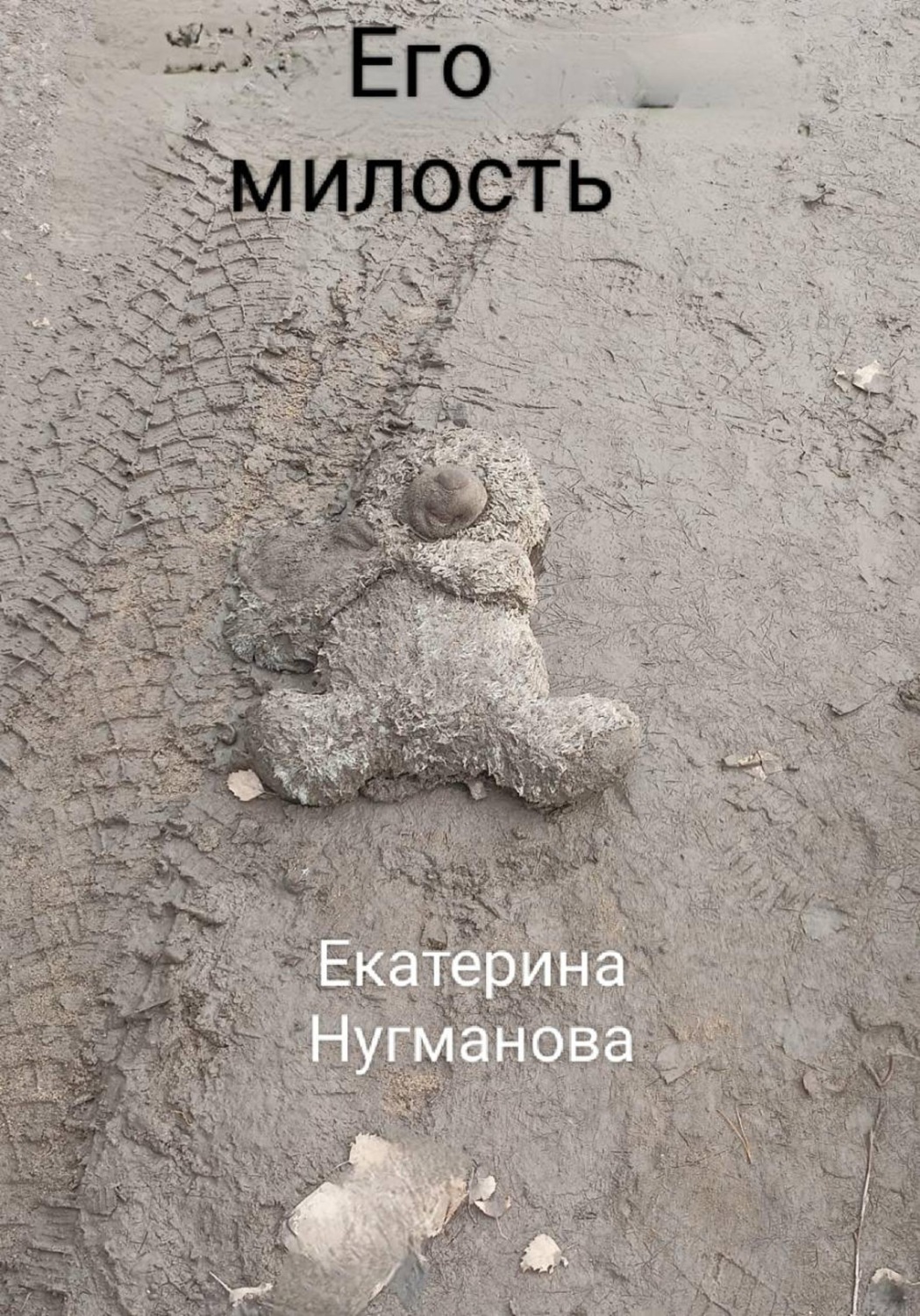Обложка книги «Его милость»