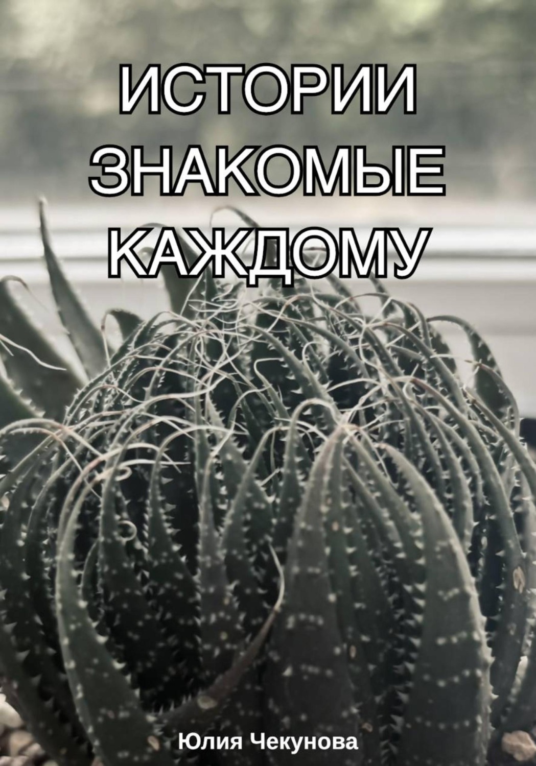 Обложка книги «Истории знакомые каждому»