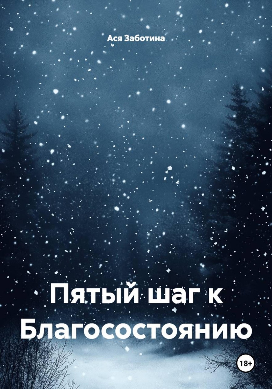 Обложка книги «Пятый шаг к Благосостоянию»