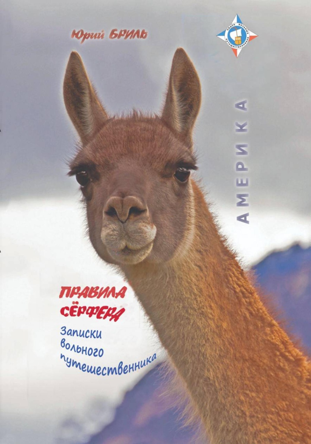 Обложка книги «Правила сёрфера»