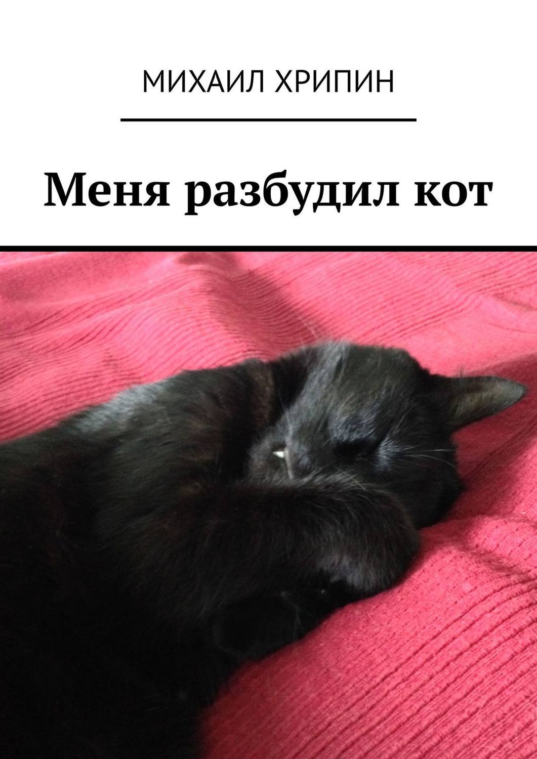 Обложка книги «Меня разбудил кот»
