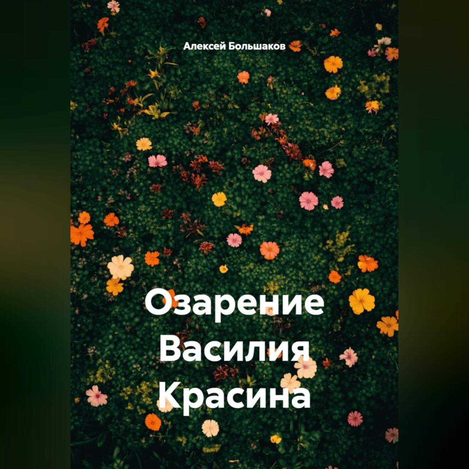 Обложка книги «Озарение Василия Красина»