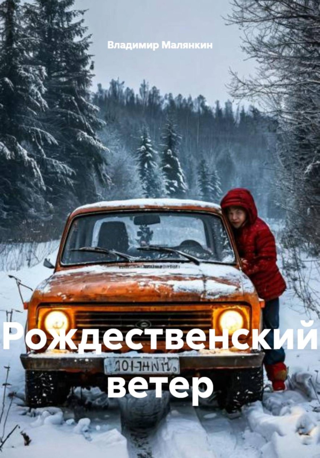Обложка книги «Рождественский ветер»