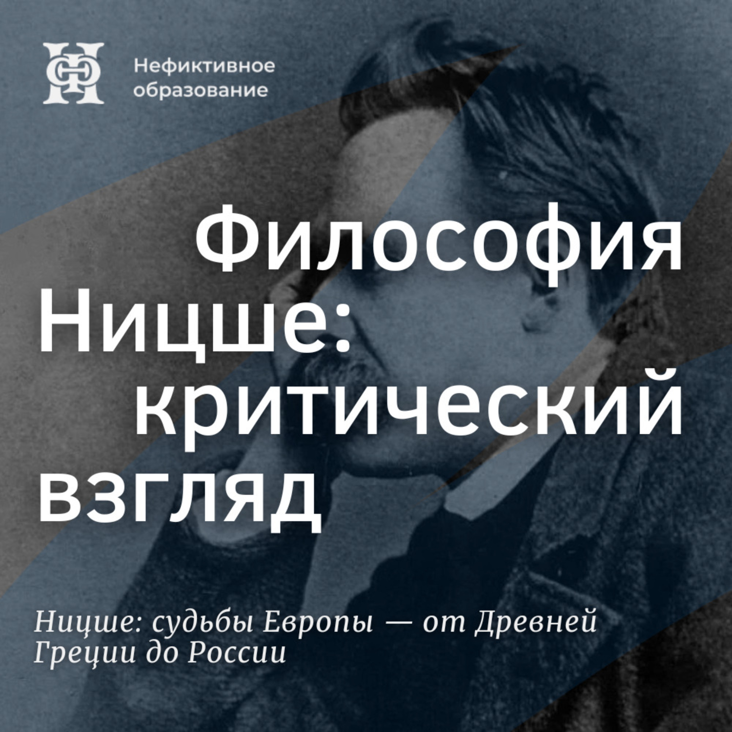 Обложка книги «Философия Ницше: критический взгляд»